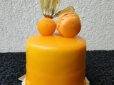 Entremet tout mangue