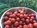 Poêlée de tomates cerises ail & basilic
