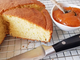 Gâteau au yaourt | Tout Gourmand | Recettes faciles | Avec ou sans Thermomix