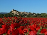 Petite balade estivale et musicale au coeur de la Provence