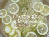 Champagne de sureau