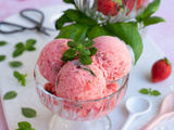 Sorbet fraise basilic