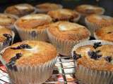 Muffin à la myrtille - Blueberry muffin