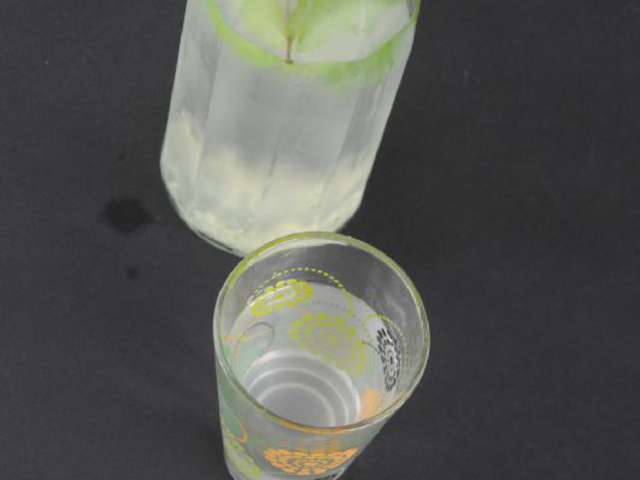 Recettes de Menthe de Un an pour faire son cookingout