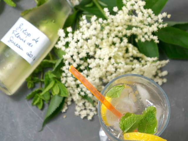 Recettes de Sureau - 4