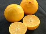 Iles flottantes au citron doux d'Iran avec le secret pour mélanger du jus de citron avec du lait