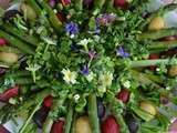 Quintessence de la salade printanière : asperges vertes, radis multicolores et févettes fraîches