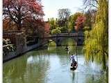 Cambridge - a rhubarb & custard pie