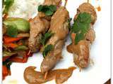 Satay ayam – Brochettes de poulet sauce cacahuète