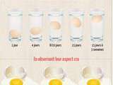 Comment congeler les œufs et autres astuces