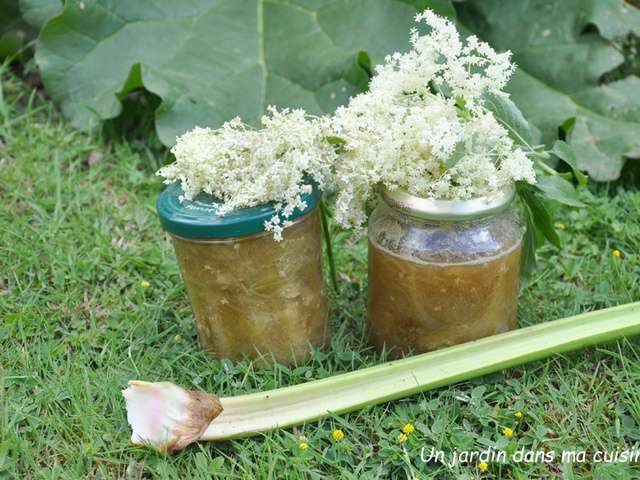 Recettes De Fleurs De Sureau