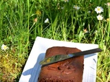 Gâteau au chocolat intense