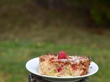 Gâteau familial rhubarbe framboises