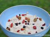 Porridge lait végétal et super fruits