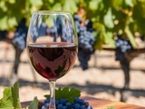 Comment choisir un vin rouge de Bordeaux selon son budget