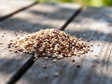 Gluten dans le quinoa : Mythe ou réalité pour votre santé