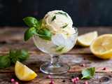 Sorbet citron basilic Novascope : La recette pétillante d’été