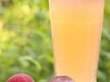 Soda à la prune (fermentation au petit lait, sans levure ajoutée)
