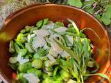 Salade de fèves, vinaigre balsamique, estragon et parmesan