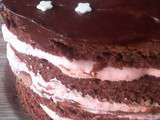 Naked cake chocolat/framboise