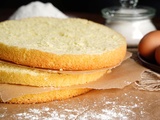 Génoise inratable : la meilleure recette moelleuse et légère