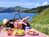 Pique-nique réussi : 7 secrets pour un repas en plein air dont tout le monde se souvient