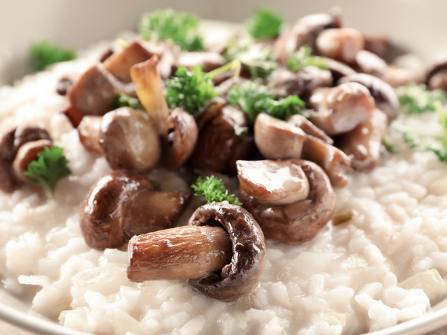 Recettes de Vin blanc et Champignons