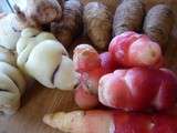 Ocas du Pérou, Capucine ou cerfeuil tubéreux, héliantis : les légumes racines dans l’assiette