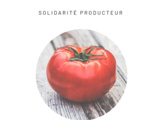 Vente plans de tomates anciennes Vendée