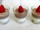 Panna cotta vanille et chocolat