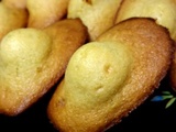 Madeleines dodues