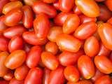 Tomates « zéro résidus de pesticides » des Paysans de Rougeline