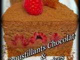 Croustillants Chocolat & Framboises