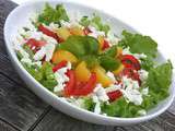 Salade multicolore {tomates, feta}