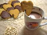 Biscuits chocolat/gingembre, défi photo Décembre - Une ribambelle d'histoires