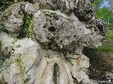Fontaines de Saint-Arnoult sur Touques, calvados - Une ribambelle d'histoires