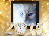 Bonne et heureuse année 2015