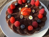 Gateau chocolat moelleux sans gluten et sans lactose aux fruits rouges