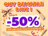 Guy demarle days la folie