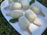 Mini magnums citron menthe