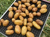 Pommes de terre nouvelles aux herbes roties au four