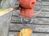 Sorbet de saison fraises/rhubarbe