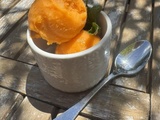 Sorbet plein fruits abricots