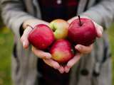 Fruit en vedette: 10 recettes aux pommes