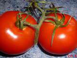 Tomates sechees et confites