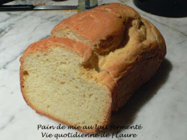 Recettes de Machine à pain et Lait Fermente