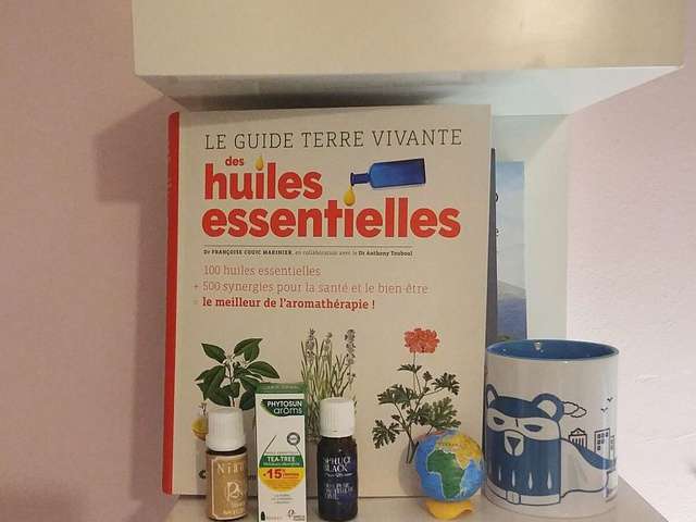 Recettes De Huiles Essentielles De Virginie B