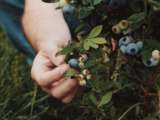 Sélection livres pour un quotidien  nature 