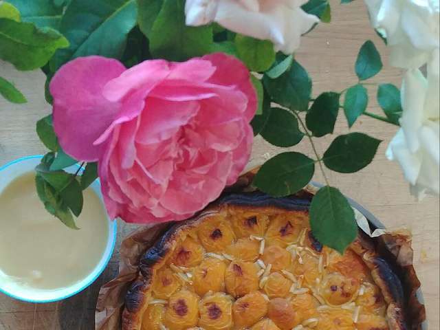 Recettes De Tarte Aux Abricots De Virginie B