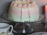 3 layers ombre cake